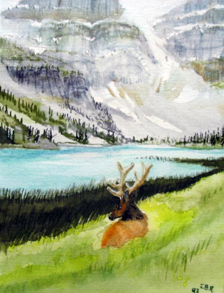 Elk by mountain lake