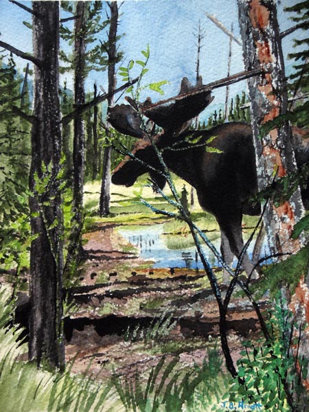A large dark moose wades on the fringe of a Northern Canadian slew.